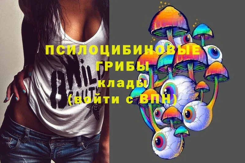 Галлюциногенные грибы Psilocybine cubensis Анадырь